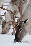 DSC05980-01