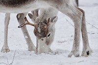 DSC05979-01