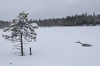 DSC06006-01