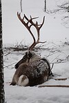 DSC06009-01