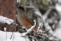 DSC06028-01