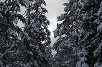 DSC06067-01