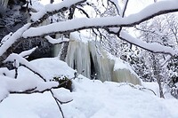 DSC06070-01