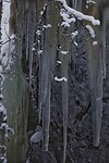 DSC06072-01