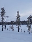 20250304_152315-01