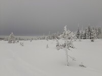 20250305_110628-01