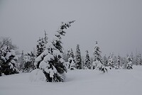 DSC06074-01