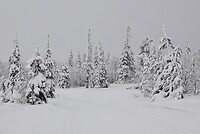 DSC06075-01