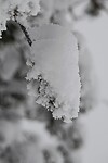 DSC06078-01
