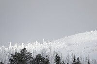 DSC06091-01