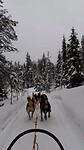 Huskytocht Salla, Finland
