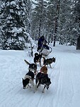 IMG-20250307-WA0007