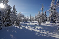 DSC06289