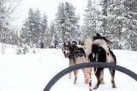 DSC06203
