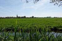 DSC06972-01