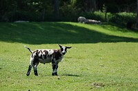 DSC06978-01