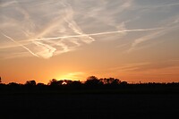 DSC07004-02