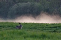 DSC07025-01