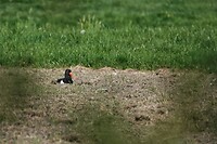 DSC07042-01