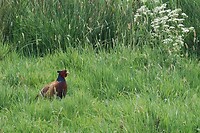 DSC07072-01