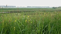 DSC07074-01