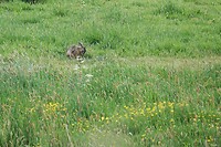 DSC07075-03