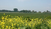 DSC07076-01