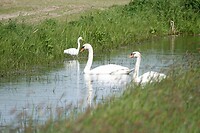 DSC07084-01