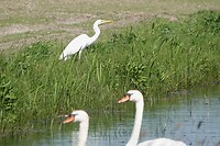 DSC07093-01