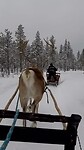 Rendiertocht, Salla Finland