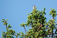 DSC07124-01