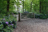 DSC07127-01