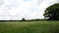 DSC07131-01