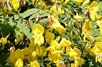 DSC07133-01