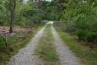 DSC07148-01