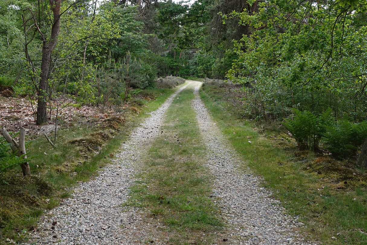 DSC07148-01