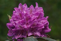 DSC07161-01