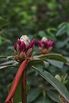 DSC07163-01