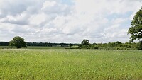 DSC07128-01