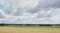 DSC07134-01