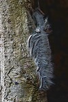 DSC07152-01
