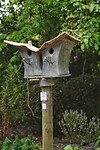 DSC07169-01