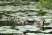 DSC07196-01