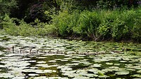 DSC07198-01