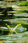 DSC07217-01