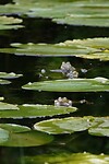 DSC07218-02