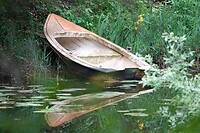 DSC07231-01
