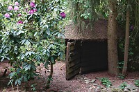 DSC07226-01