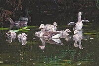 DSC07238-02