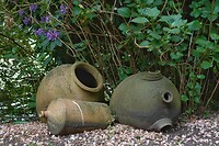 DSC07246-01